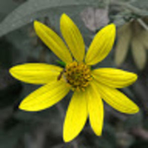 Meet your Posher, Beate